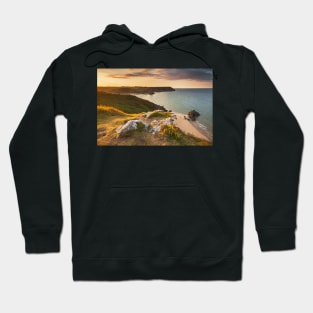 Three Cliffs Bay from Penmaen Burrows, Gower, Wales Hoodie